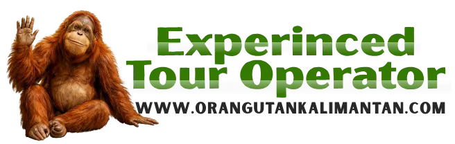 PT. Orangutan Kalimantan Tour