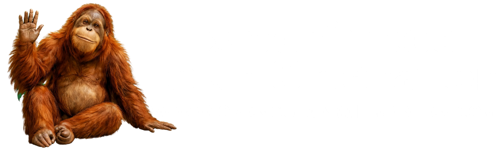 PT. Orangutan Kalimantan Tour